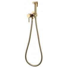 Смеситель встраиваемый с гигиеническим душем Grocenberg GB001 Золото