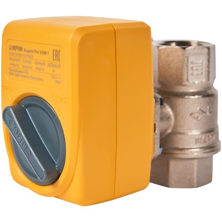 Шаровой кран с электроприводом Neptun Bugatti Pro 220В 1", 100035616600
