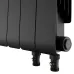 Радиатор отопления биметаллический Royal Thermo Infinity 300 Noir Sable VR80 - 10 секц., RTINSVR8030010