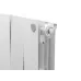 Радиатор отопления Royal Thermo PianoForte 200 /Bianco Traffico - 10 секц., RTPBT20010