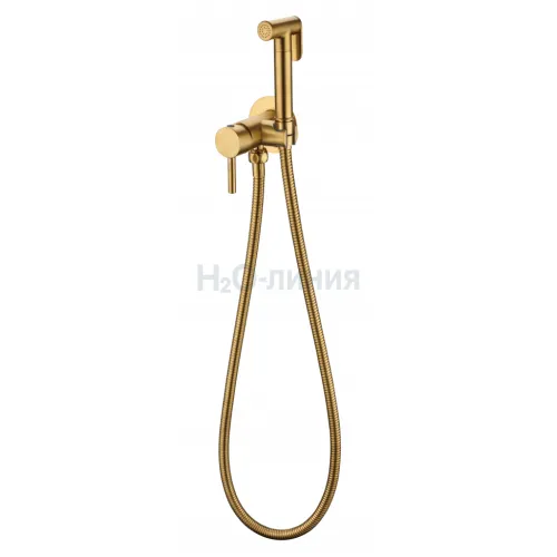 Смеситель встраиваемый с гигиеническим душем  Grocenberg GB001GL золотой брашированный