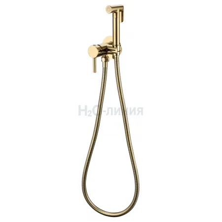 Смеситель встраиваемый с гигиеническим душем Grocenberg GB001 Золото