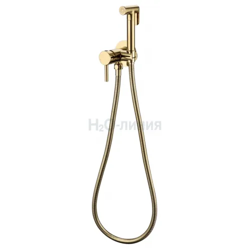 Смеситель встраиваемый с гигиеническим душем Grocenberg GB001 Золото